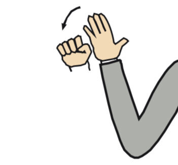 ���� ����������� ������ ��������