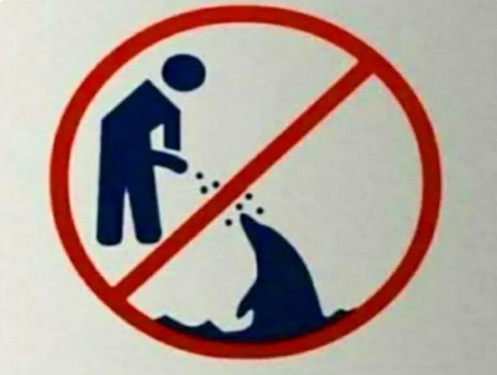 ����� �� ���� ���� ���� ������������ �������� � ������ � ��������