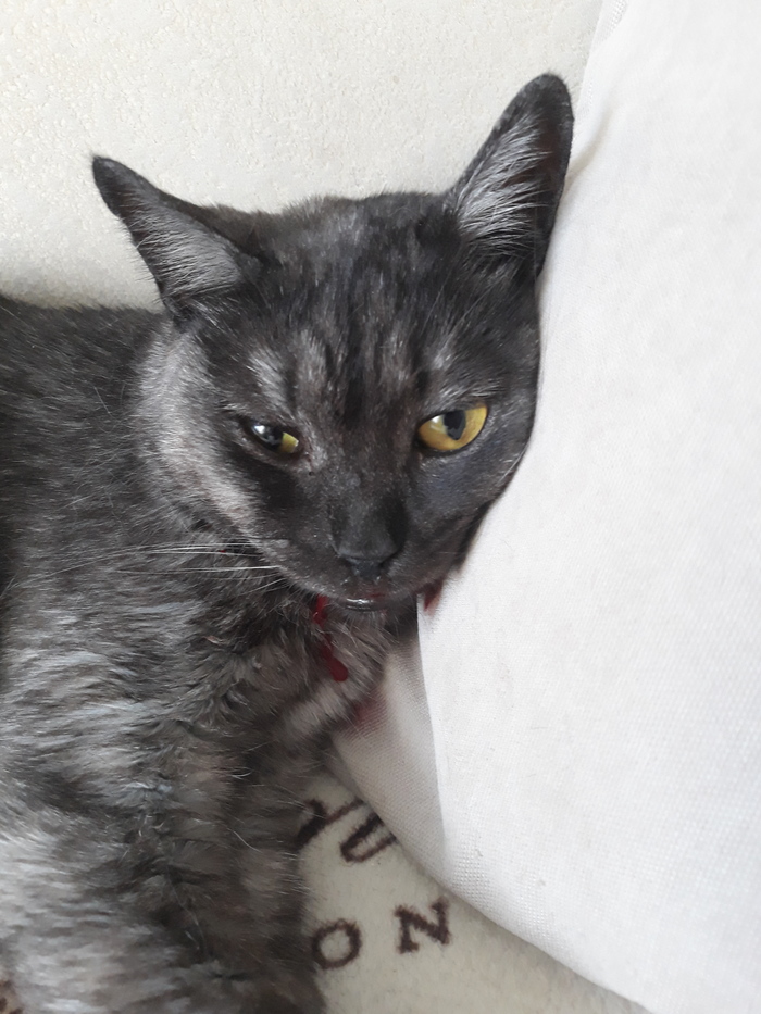 ������ � ������ � ��������