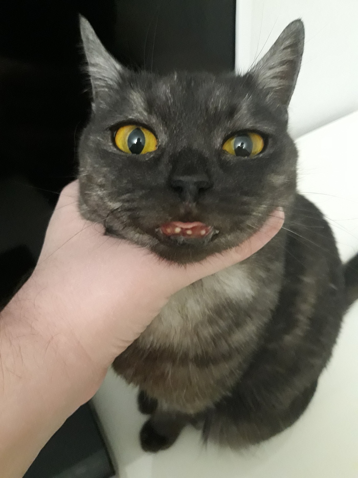 "�����" ���������