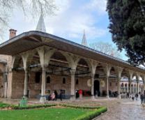 �������. ������ 2024 ����