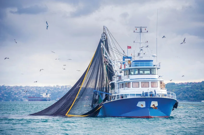 ������� ������� ������ � ������ ������� � ����