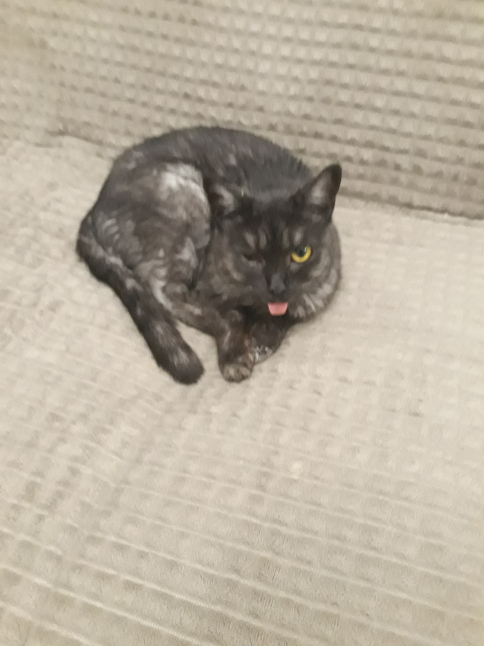 � ��������� ���