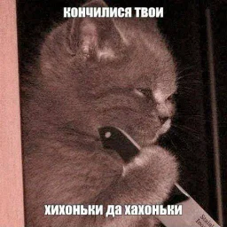 user8484282