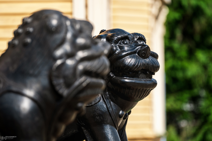 ���� ��-���