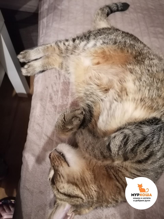 ����� �� ���������� �������� �����