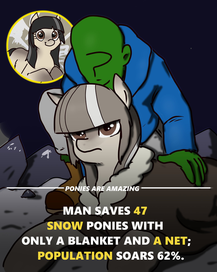 ���� ������� ����������