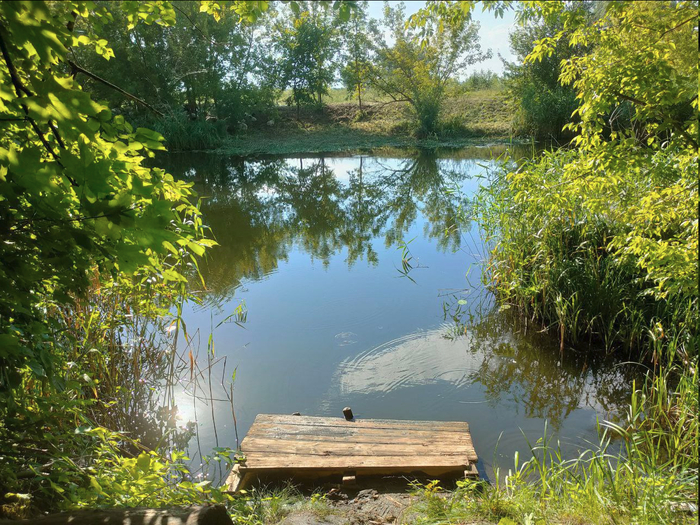 � ��� ������ �� ����, ����, ��� ����, �������� � ��������, ��� �������� ��� ������ � ������, � ��������-�������� �� ��������-����������