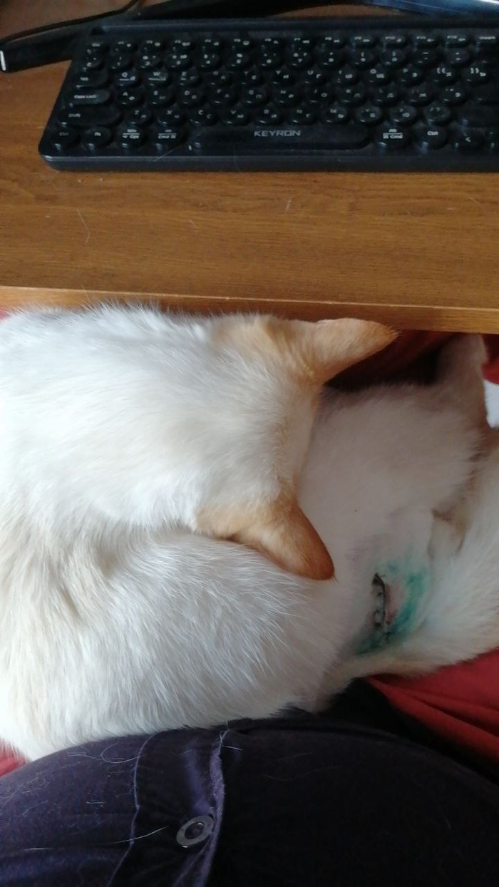 ������ �� ���� �� ����