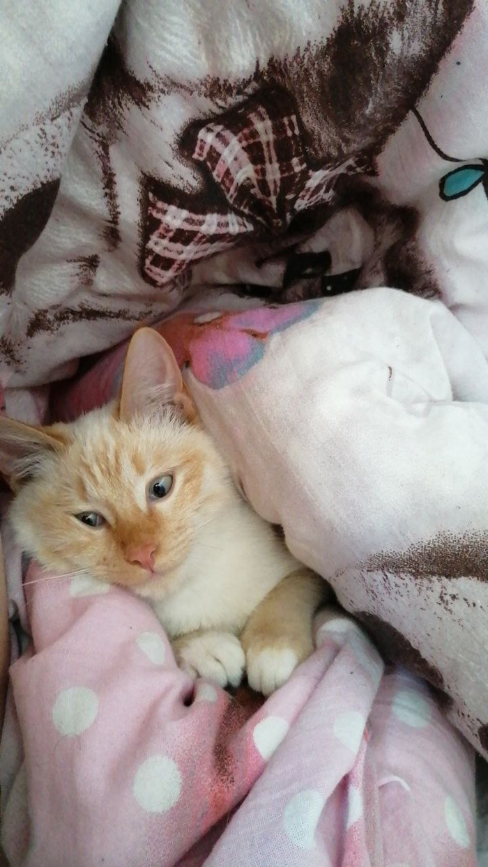 ������ �������. ������ ����� �����.