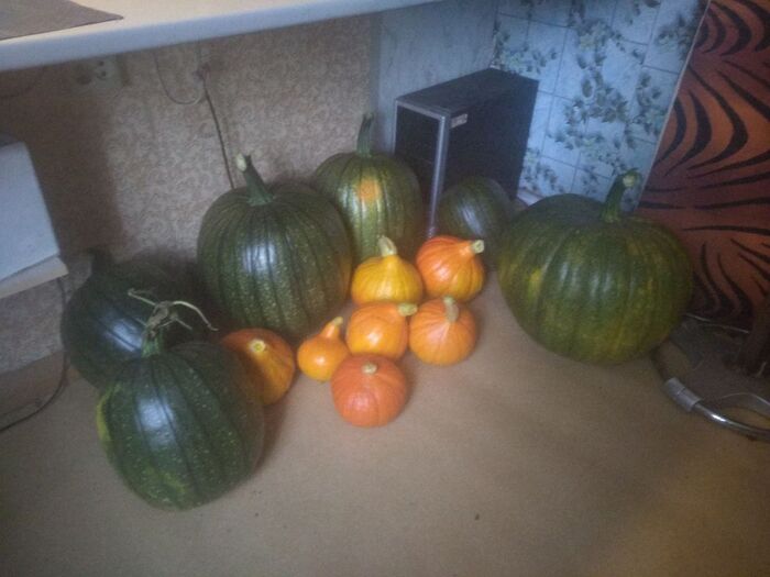 ����� �� ���� �� 2026 ���� �������� ����� ����������, � ���� �� ����� �� ������. ��� ��� ������������, ��� "�� ����"?�