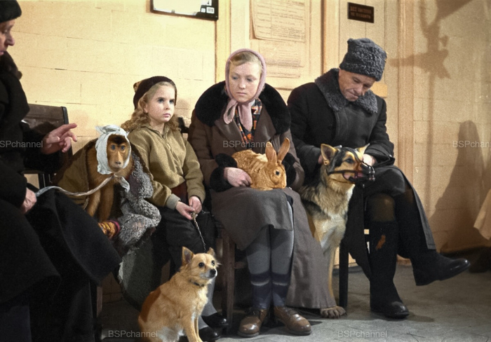 ��������: �. ������