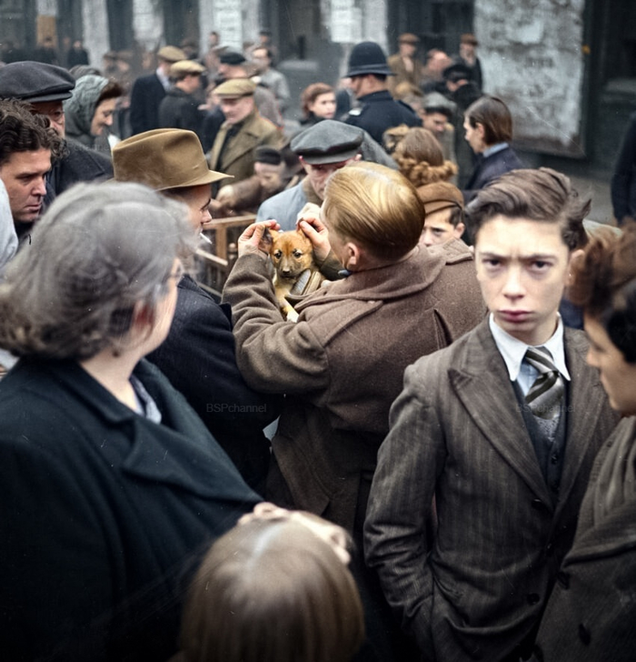 ��������: ������ �����