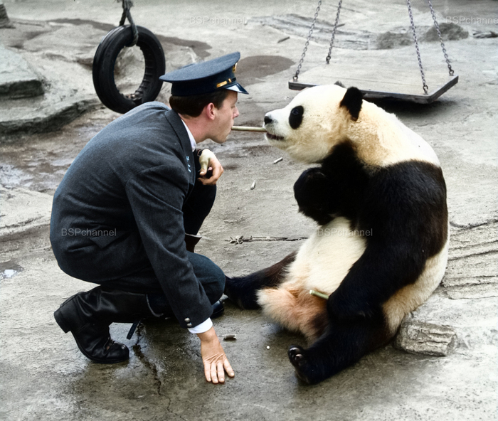 ��������: ������ ���������