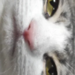 kkdira