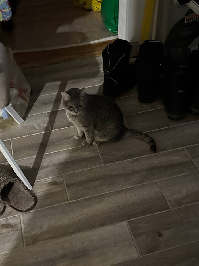 �������� ����� ����� � ��������������� �������.