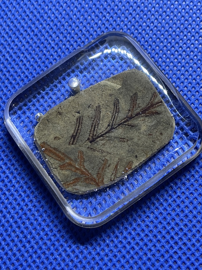 ������� ���� ������������� ����������� ���� ������������. ������������ � ������������ ���, ��������������� ������� (������) 298-358 ��� ��� �����. 