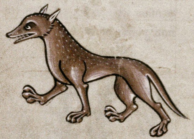 ��� - �������� �������, ������ � �������� �����