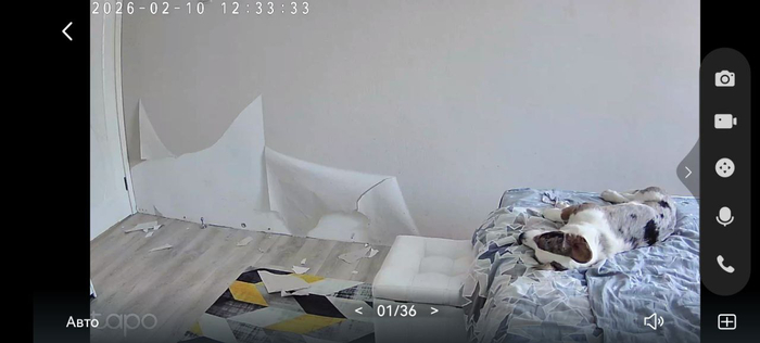 ������ � ����