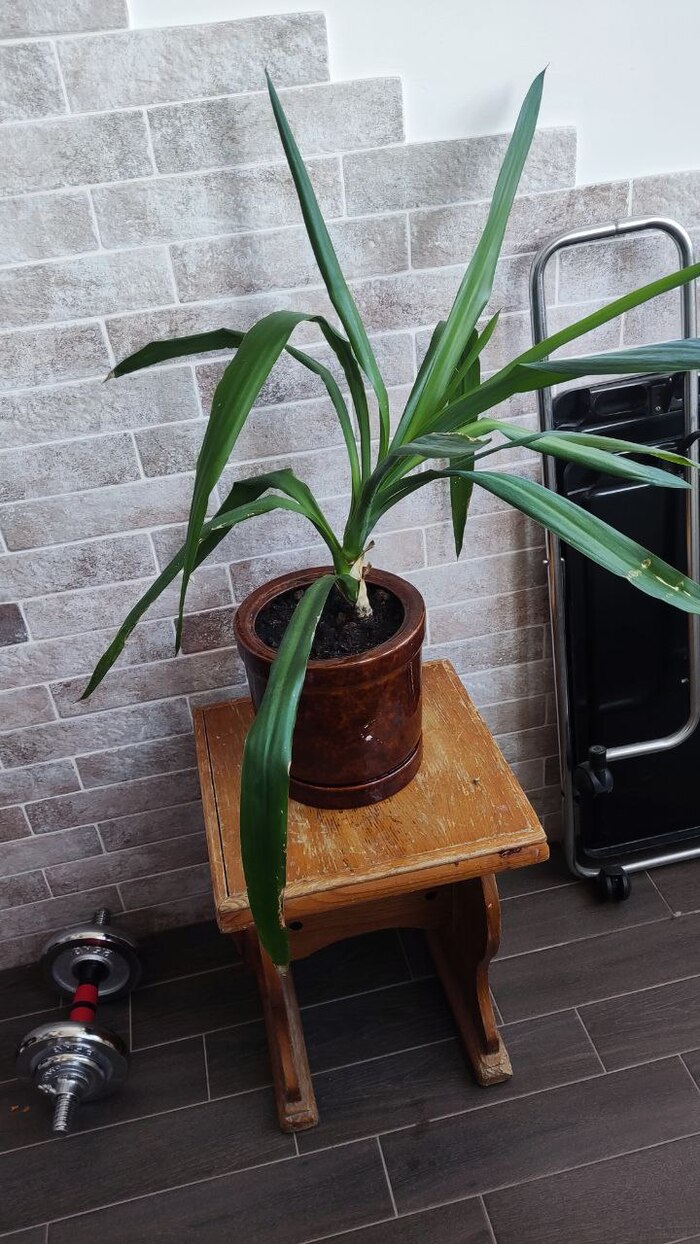 ���� ������� �����. �������� ������� ��� ����. �� ��� ����� ��� �������� ��������.