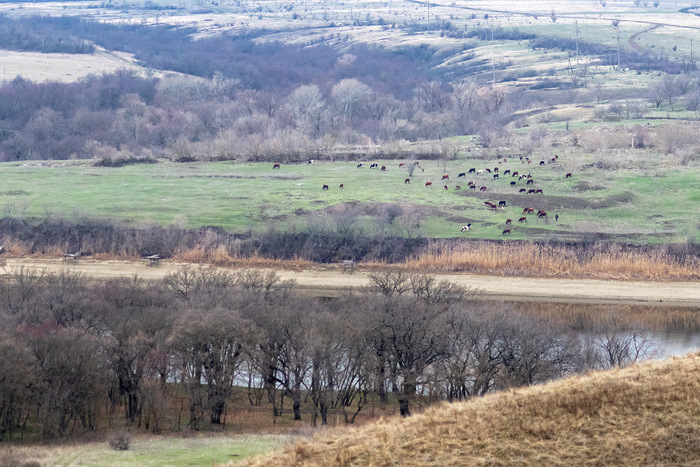 ����� �� �����