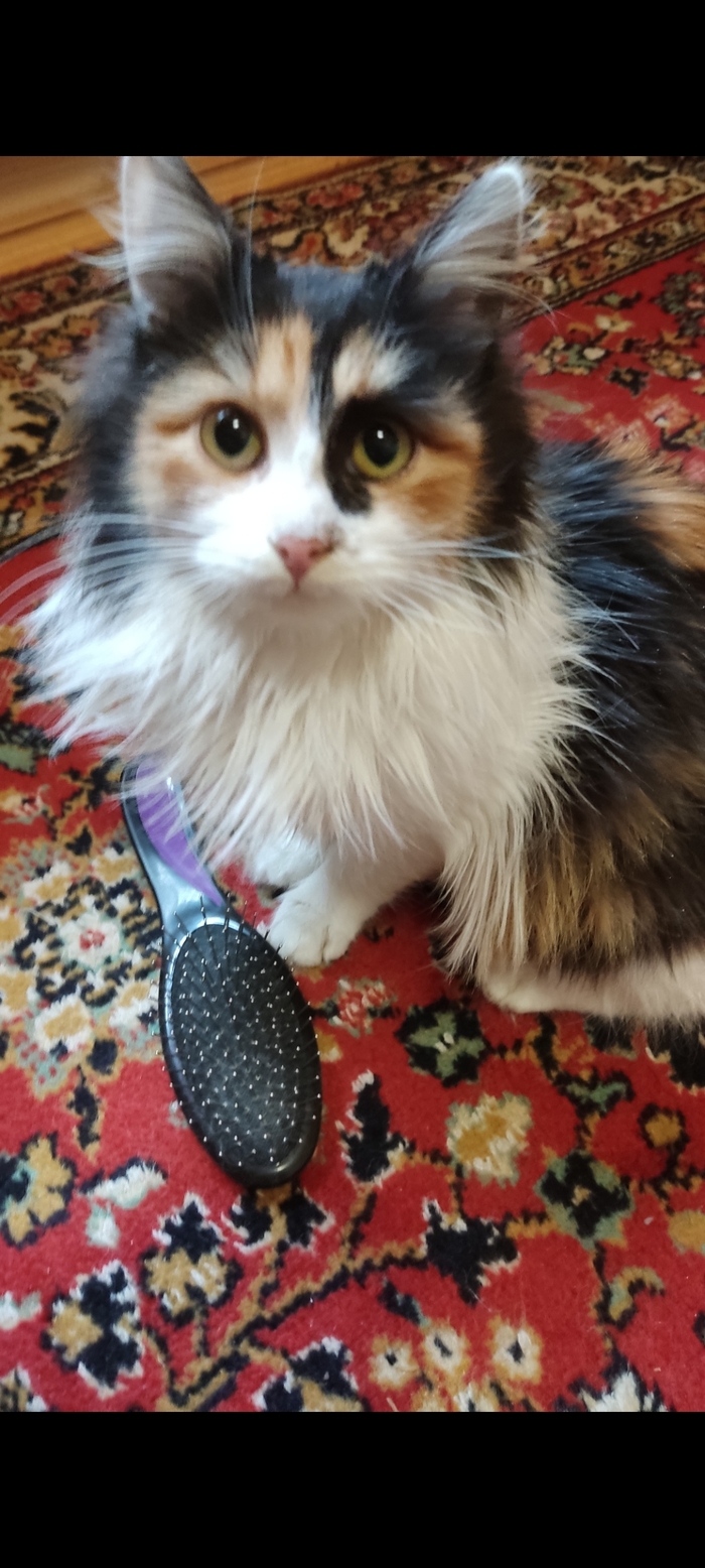 ���������� �������