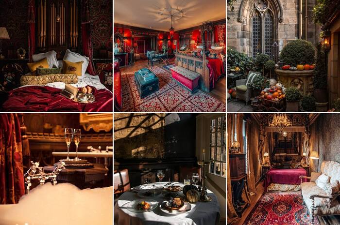 #������������