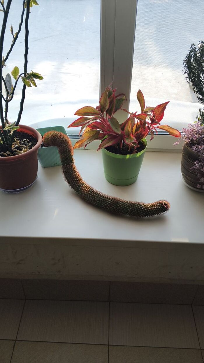 �������