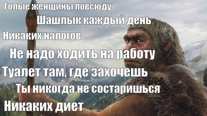 � �������� ���� ���� ���� �����