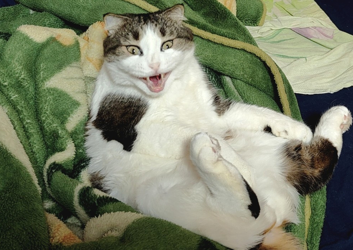 ������ ������� �� �������. ��-����.