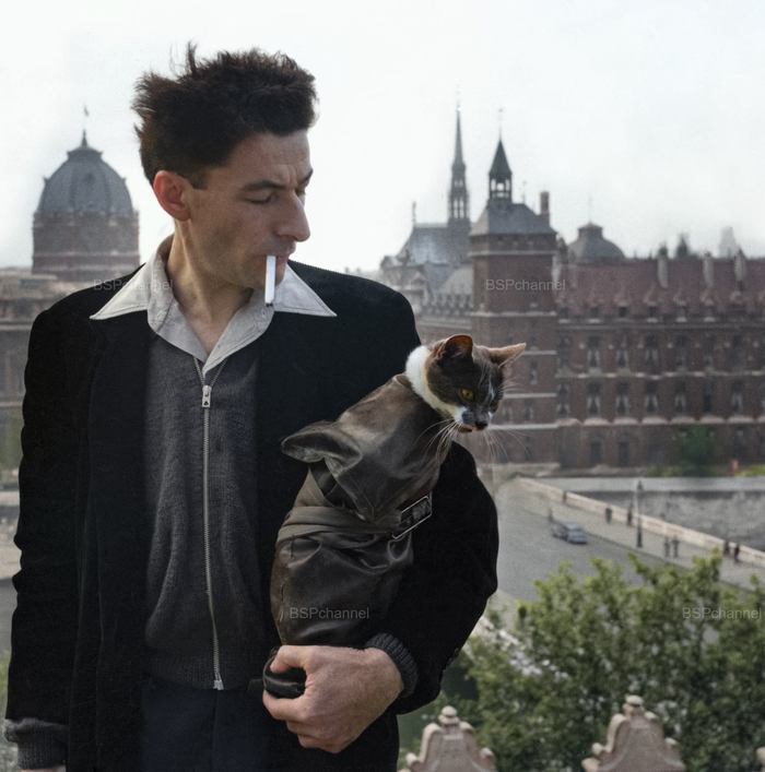 ��������: ����� �����.