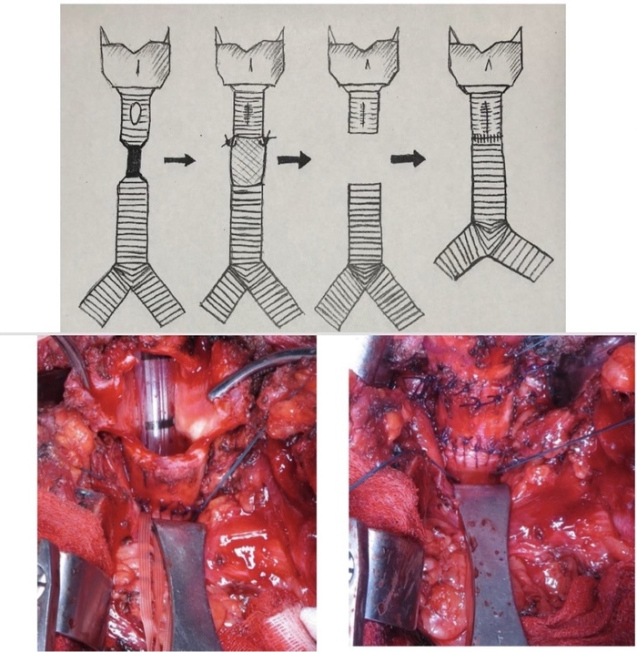 ������ ������������� ����������� ����������� �������� ������. ����� ��� ��� �������� � ����������. ���� ������������ �� ����������� ������� �. �. 