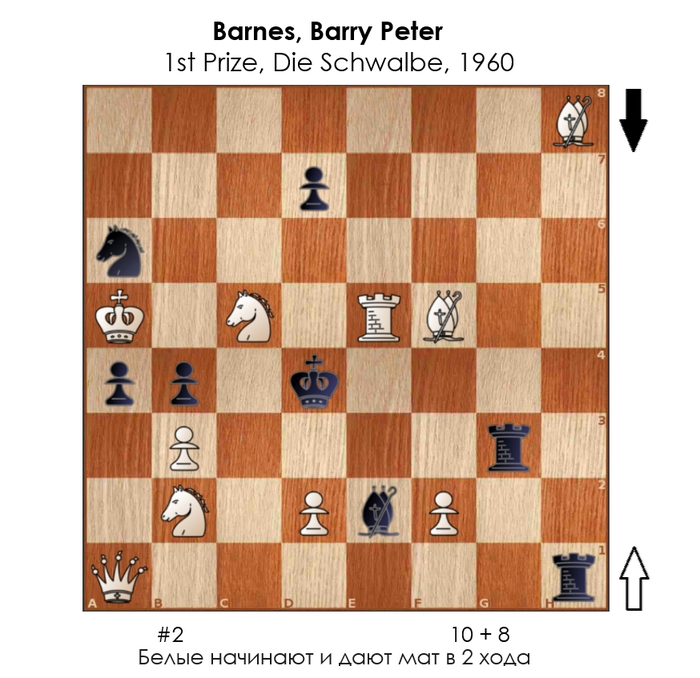 ������������� #388