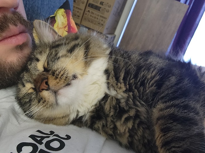 ���������� ������� #200