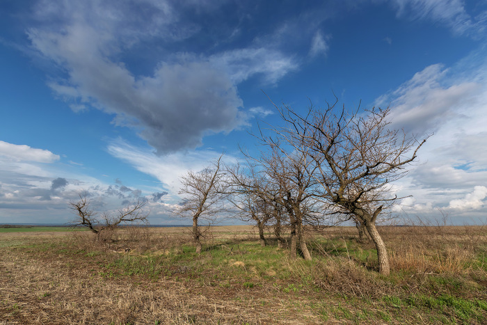 ������� ��������