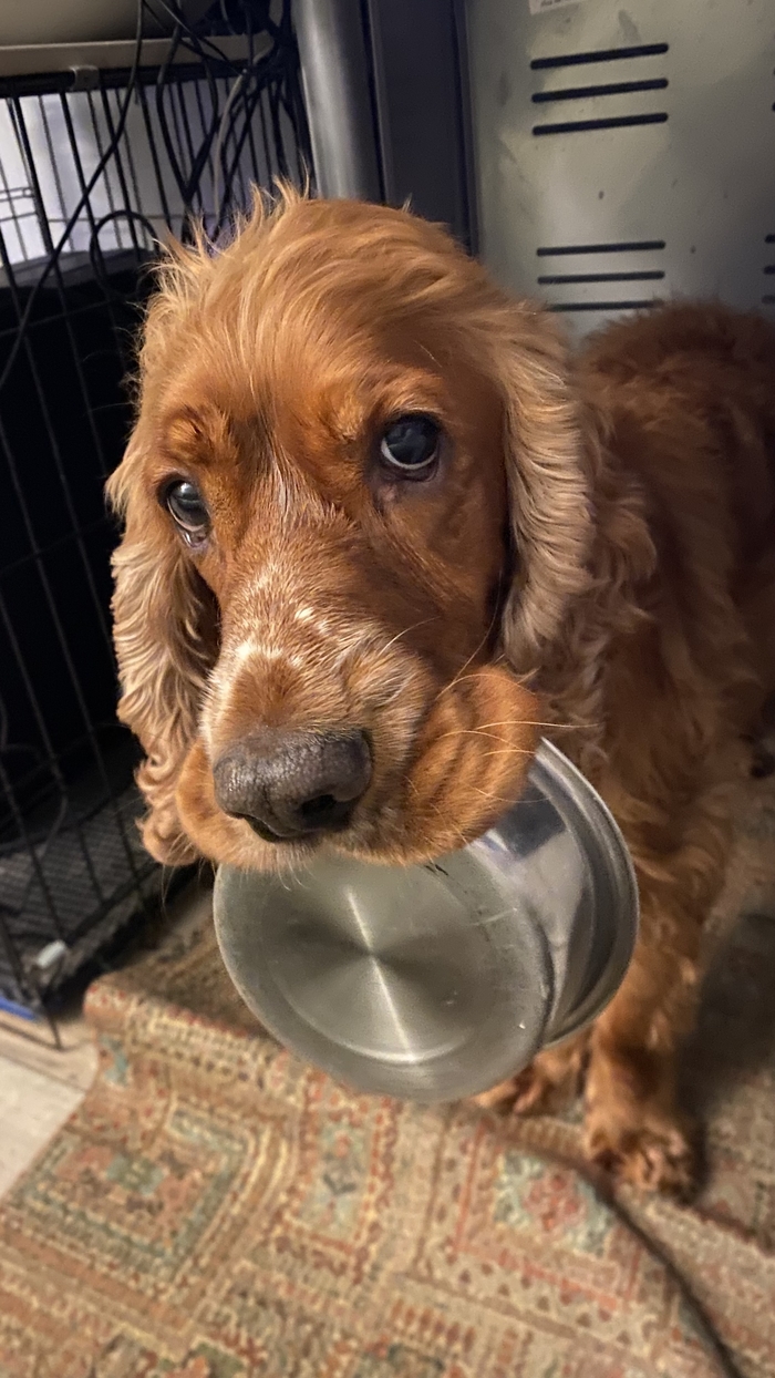 Ночной кефир