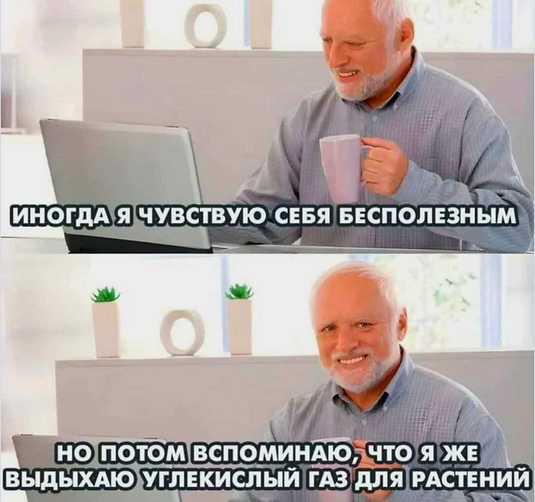 mrwvlybz_lg.jpg