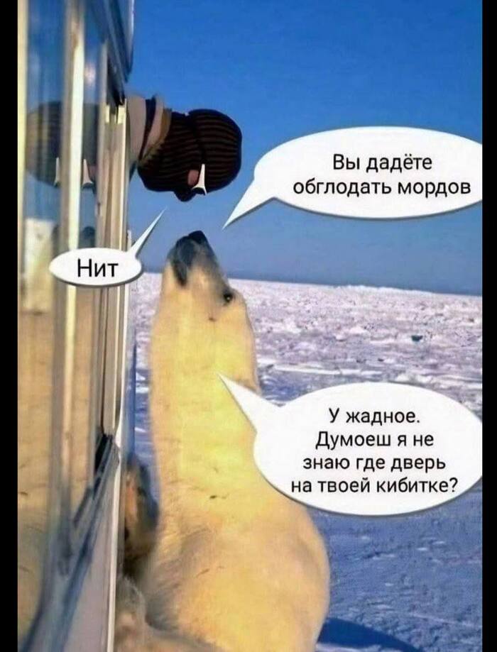 �������� ���� ��������� ����� �������� ���������� �� ������������� �������������� ��������� ������� � �����