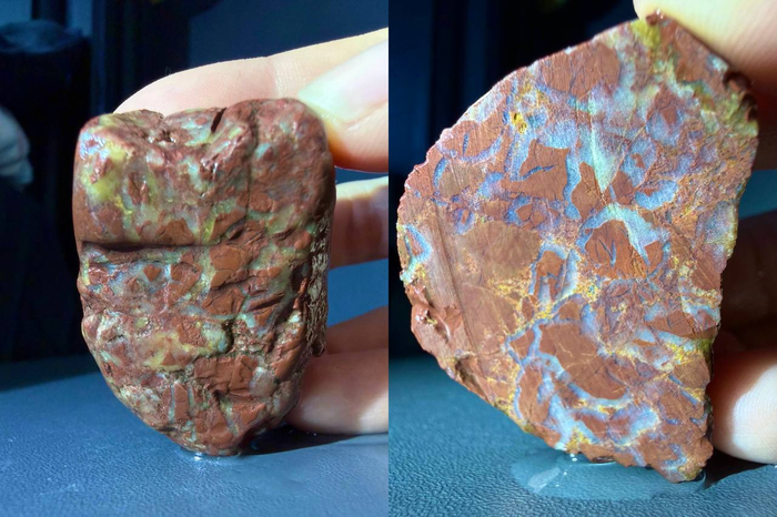 ������� ���������� ����.