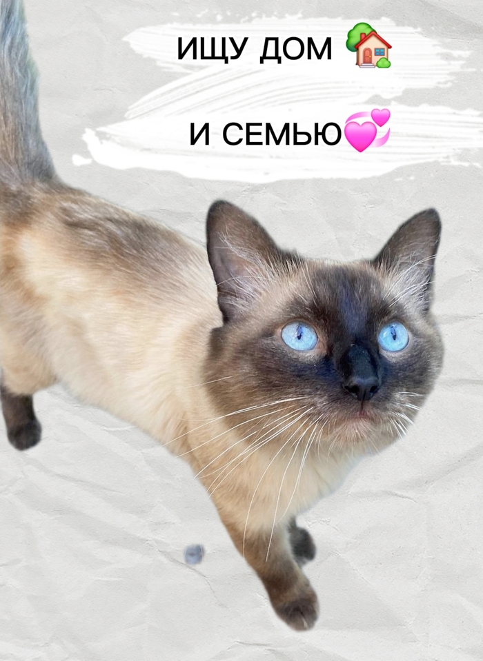 ��������� �������� ���������