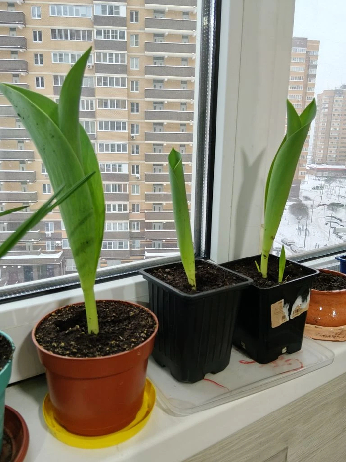 ��� �������� ���� �������� � ����� 23 ������, ������ ������ � ������������ ��� ���� 10, � �������� ������ ����� � �� ��������� �� ����������.