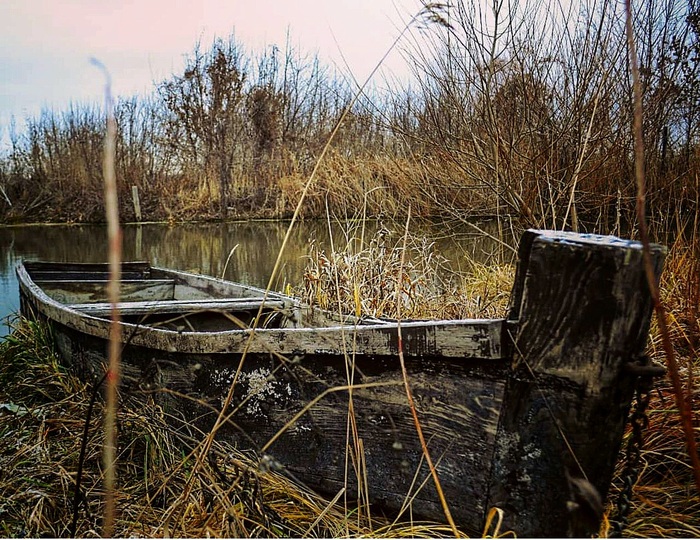 ������ �����