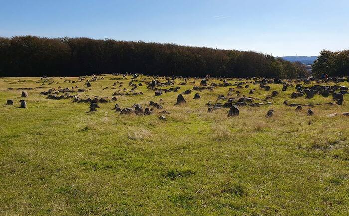 ��, ��� �����, ������ ������� ������� ����������, �� � ������� ���� ��������� ��� �����