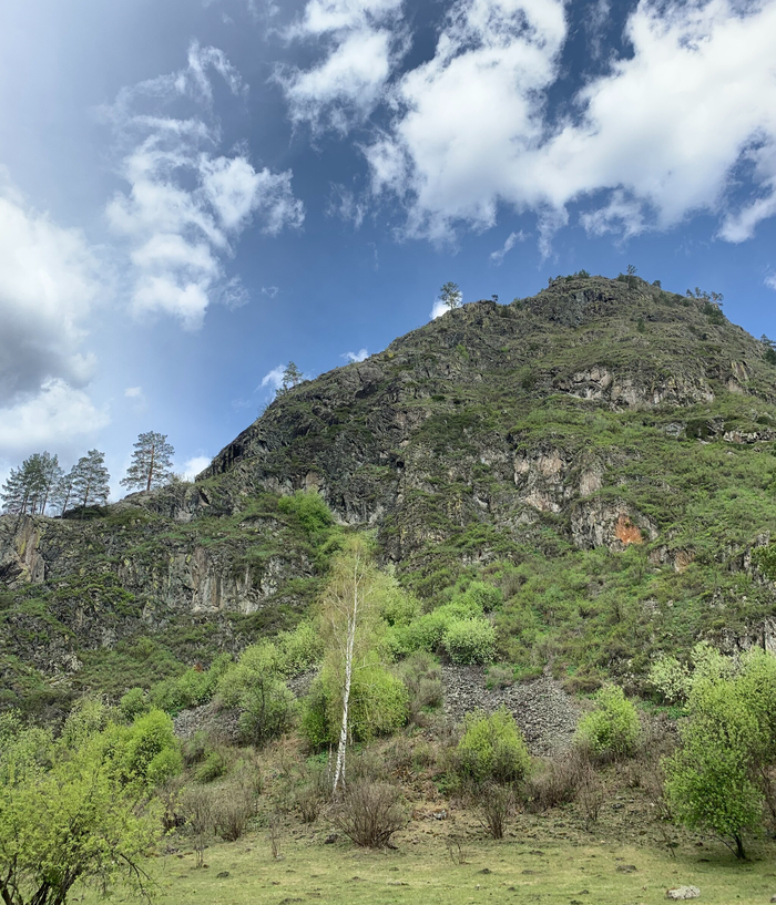 ���� ������ ����� ����� ��� ��� - ���-�� ������ ����� ������ �������� �����