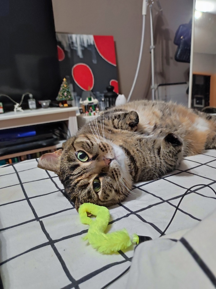 ������� ������ ����� ��� ������� ������