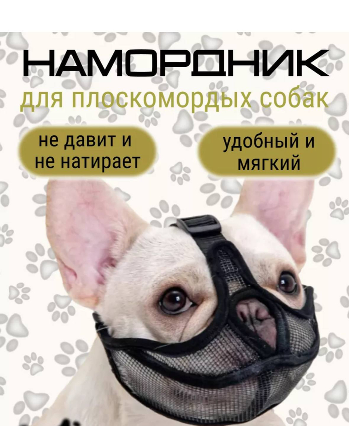 ����� ���������?