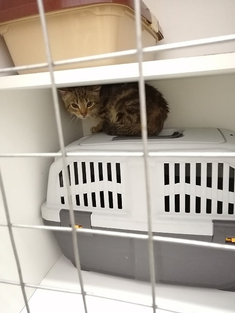 ���� ��� �� ���� ����� ������