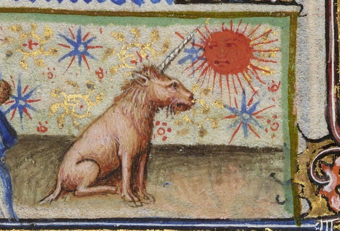 � ������� ���� ���� ���������� ����������� ��������...