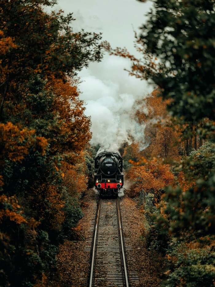 ��������� �����