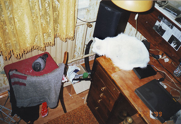 ���� � ����